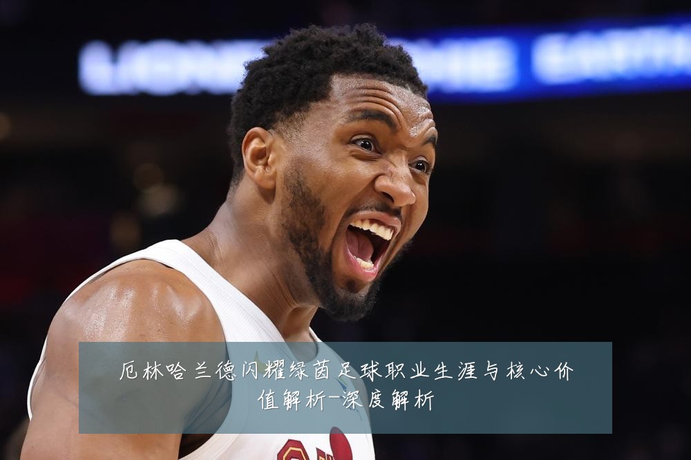 厄林哈兰德闪耀绿茵足球职业生涯与核心价值解析-深度解析